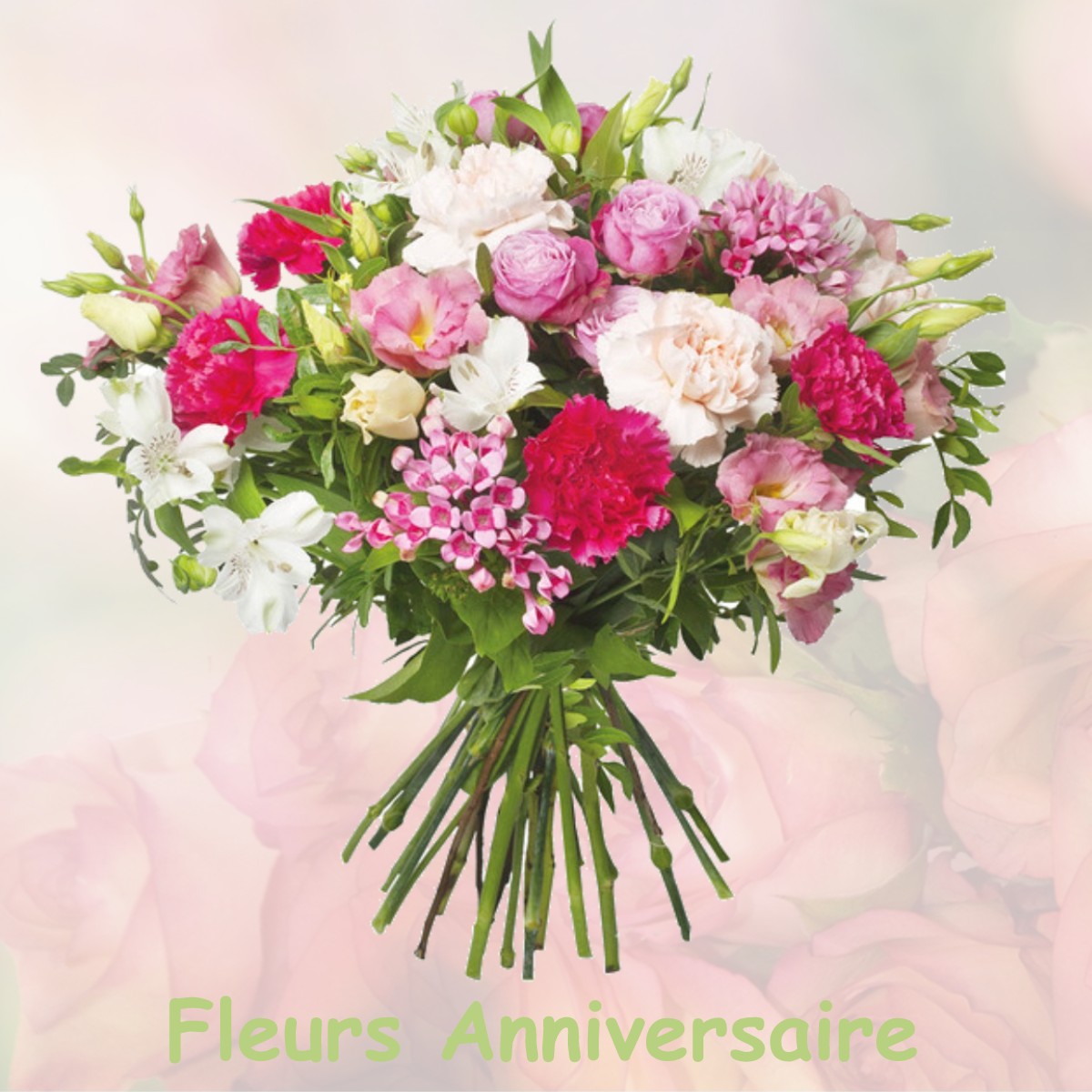 fleurs anniversaire VAILLY-SUR-SAULDRE